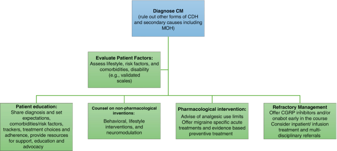 Chronic Migraine and Medication Overuse Headache | Springer Nature Link