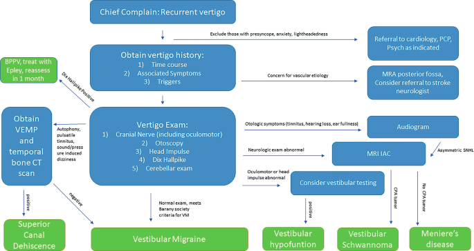 Vestibular Algorithm Chart Vestibular Migraine | Springer Nature Link