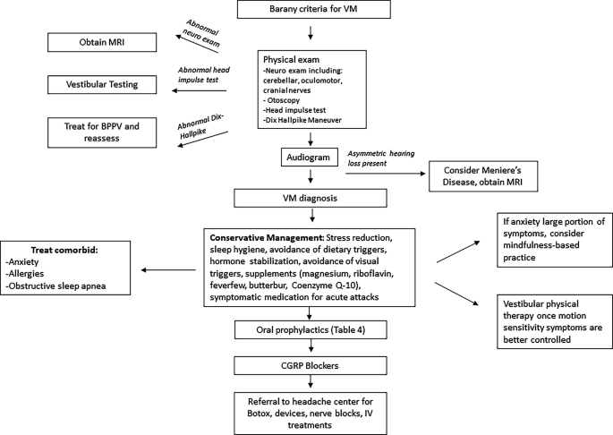Vestibular Algorithm Chart Vestibular Migraine | Springer Nature Link