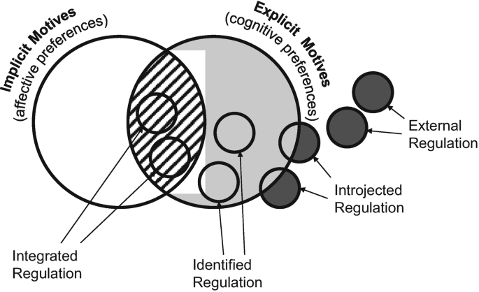 Motivation and Volition in the Workplace | SpringerLink