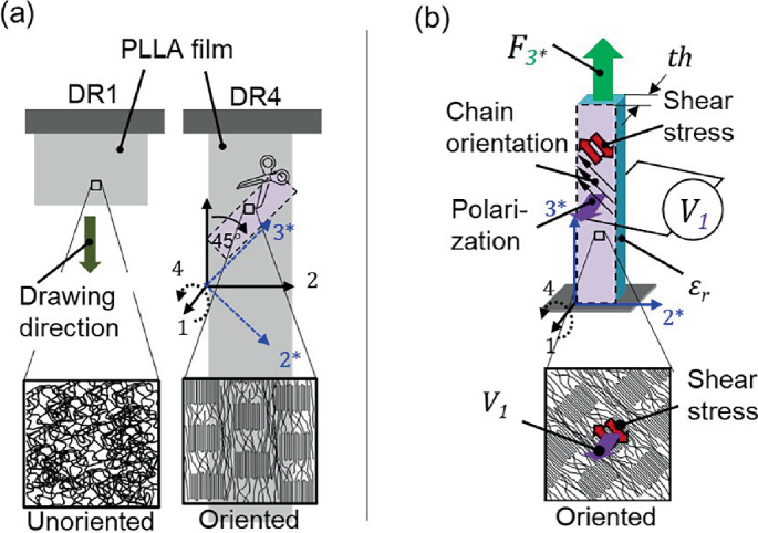 Piezoelectric Characterization of the Shear Piezoelectric Poly(L ...