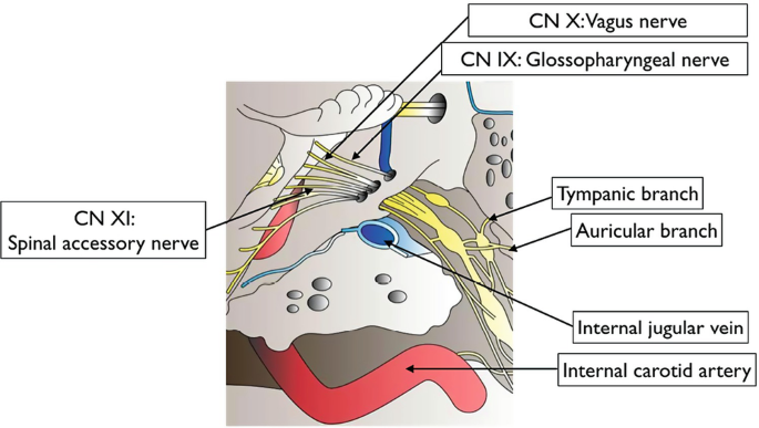 glutathione transdermal gel Topical nanogel of glutathione and coenzyme Q10 in sodium alginate for  chronic and inflammatory skin conditions: A synergistic antioxidant and  anti-inflammatory delivery platform