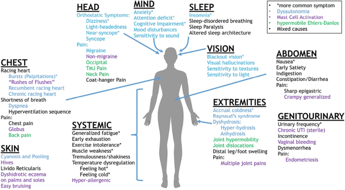 Parasympathetic and Sympathetic Nervous System Dysfunction and Monitoring