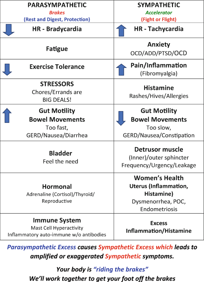 Parasympathetic and Sympathetic Nervous System Dysfunction and Monitoring