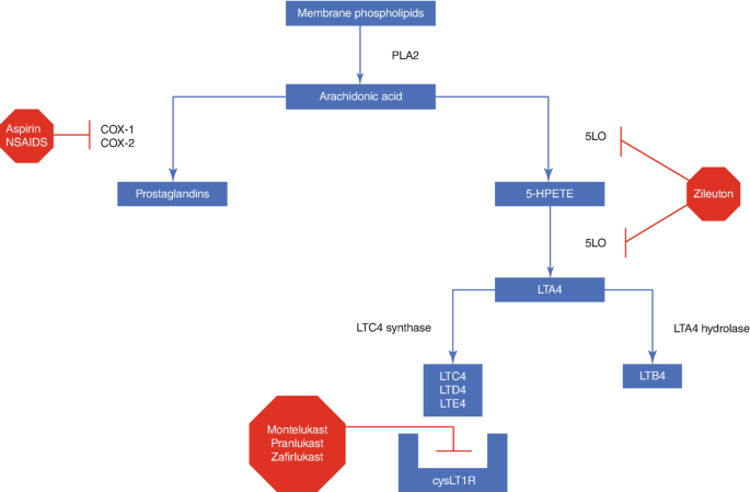 Leukotriene Modifiers For Recalcitrant Chronic Rhinosinusitis leukotriene-modifiers-for-recalcitrant-chronic-rhinosinusitis
