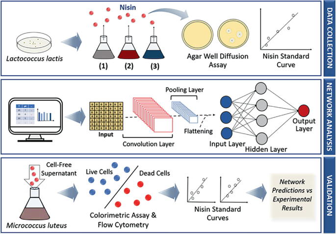 Digitalization in Bioproduction—AI & Digital Twins for Process ...