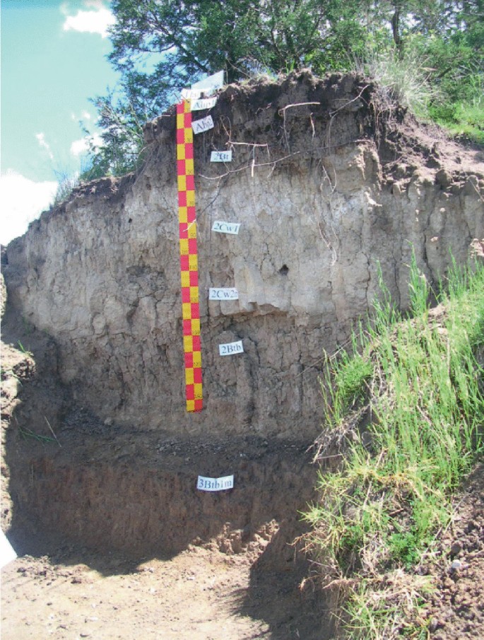 The Degradation of Andosols in Mexico: Environmental Challenges and ...