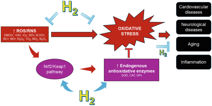 The Effect of Molecular Hydrogen on the Mitigation of Oxidative Stress in  Cardiovascular Disorders | Springer Nature Link