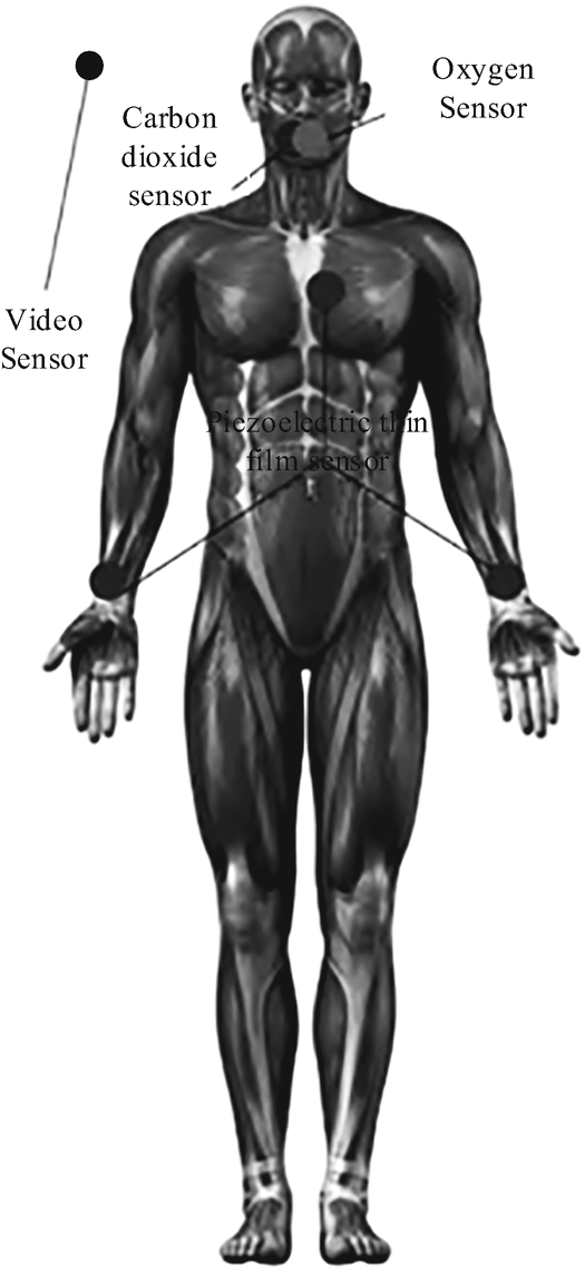 Normal Sensor Real-Time Monitoring of Multiple Physiological Parameters of Sports ...