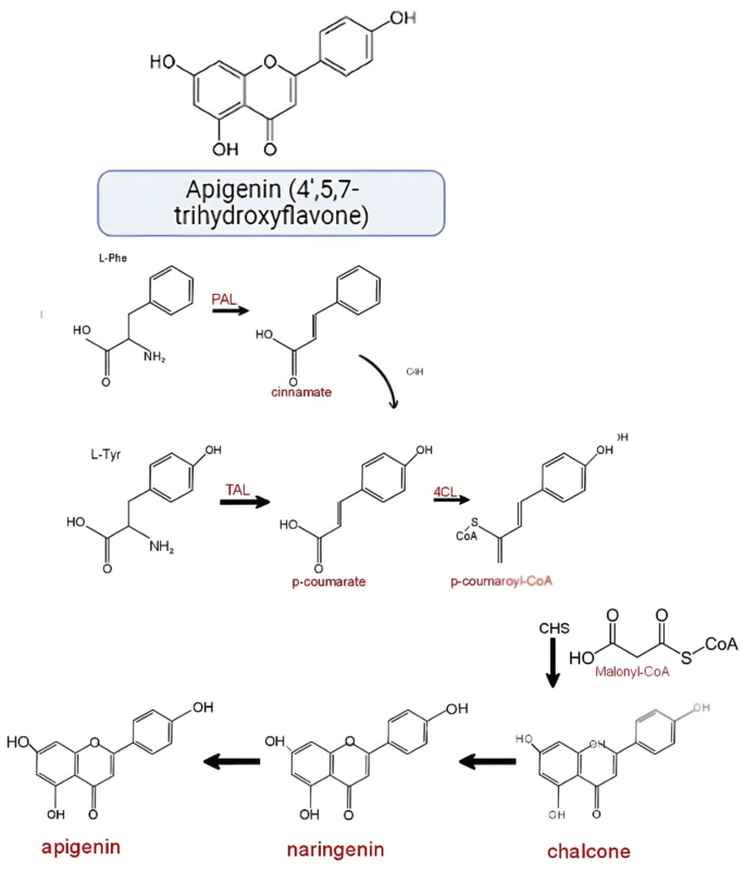 microbial-production-of-apigenin-and-chrysin-springerlink