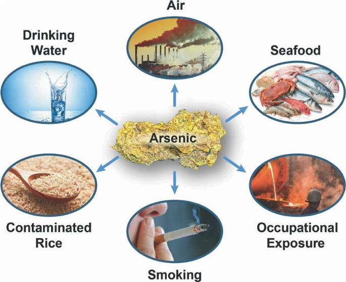 tobacco and water arsenic Health Impacts of Arsenic Exposure and Regulations for Safe Drinking Water