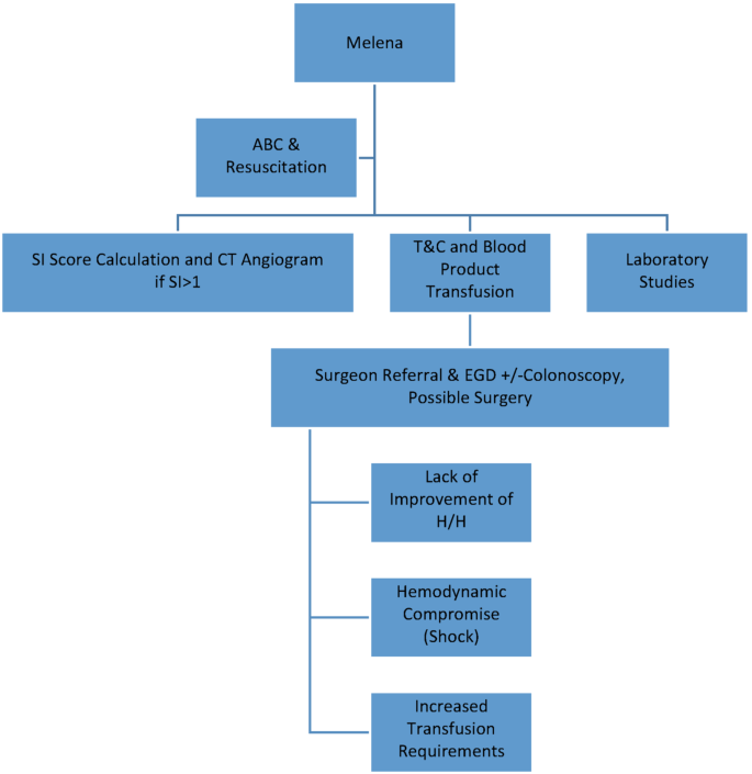 melanotic or melena and digestive system bleeding symptoms A mixture of normal stool
