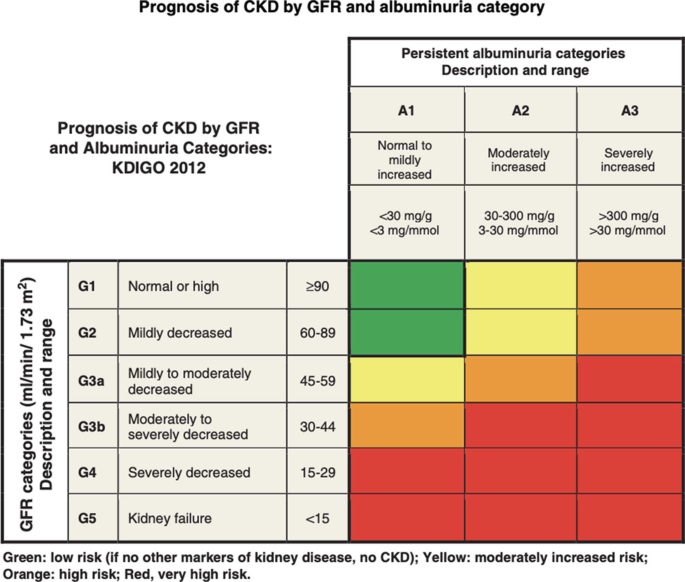 Dialysis Access | SpringerLink
