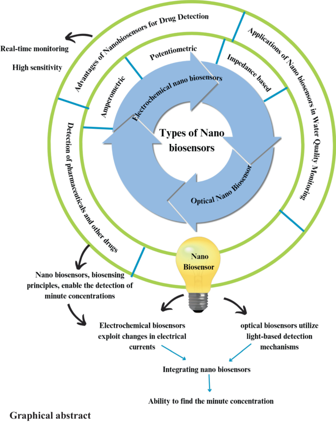 Advancing Environmental Monitoring: Nano Biosensors for Drug Detection ...