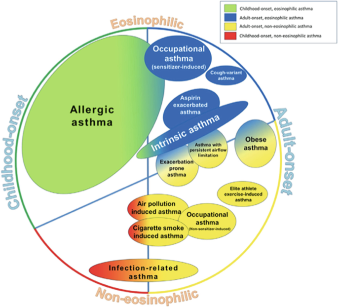 Asthma Phenotypes | Springer Nature Link
