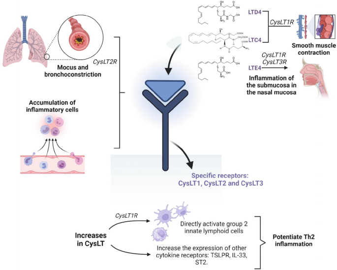 Toxicity and Allergies to Medications | Springer Nature Link