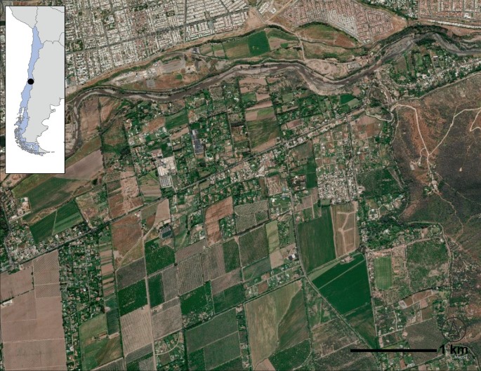 Region Map Urban Rural The Evolution of Urban Over Rural Areas | Springer Nature Link ...