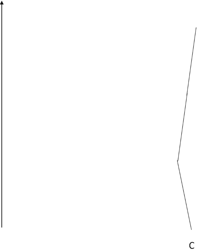 Scenario C—Mere Persistence: one kinked line