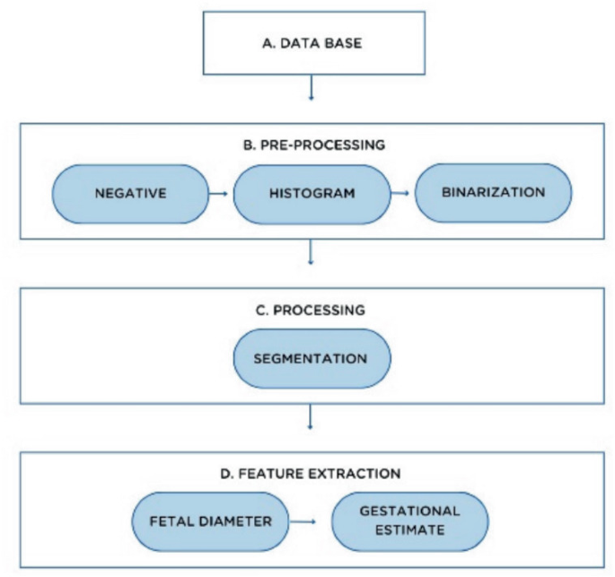Estimation of Gestational Age in Fetal Brain Images Using Image ...