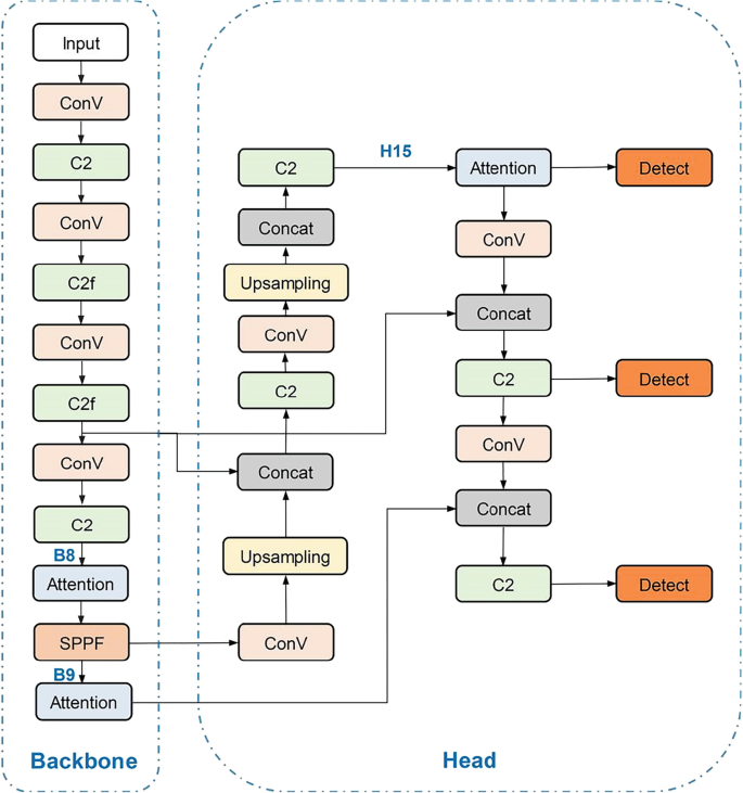 Deep Learning-Assisted Label-Free Glioma Cell Detection with Droplet ...