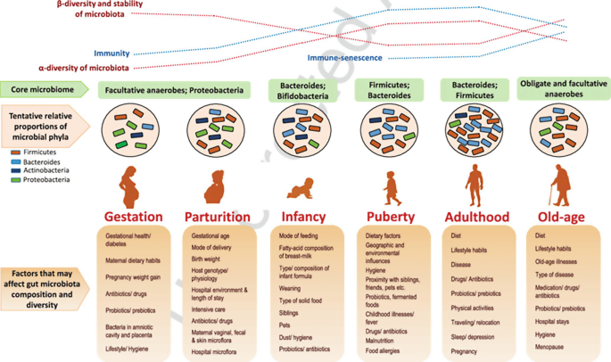 Gut Harmony: Nourishing the Microbiome for Optimal Health and Well ...
