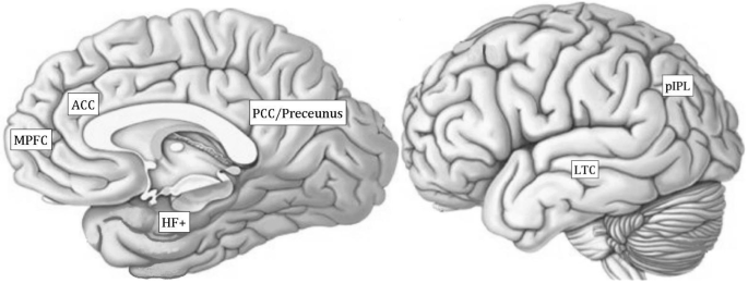 Pc Classification Brain What Are the Neurosociological Foundations of Identities and Identity ...