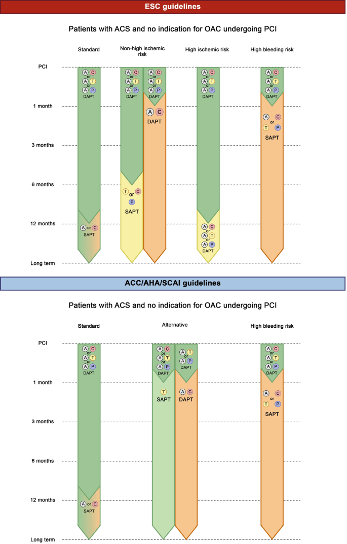 Antiplatelet Therapy in Coronary Artery Disease | SpringerLink