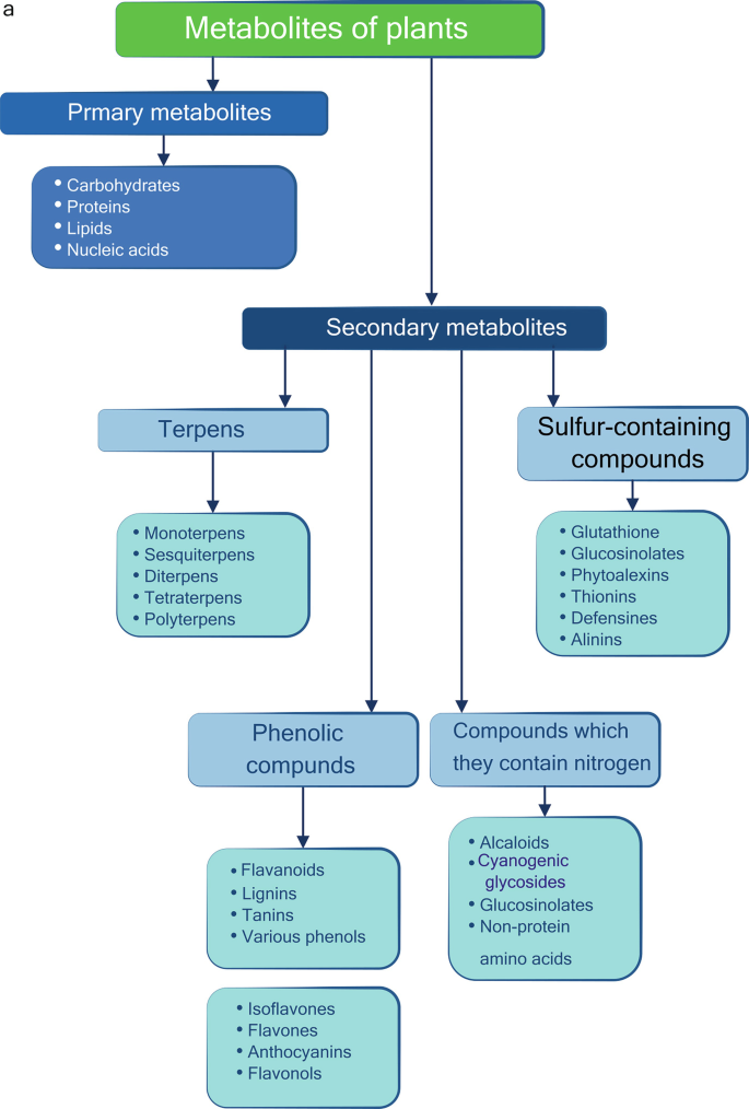 Design and Development of Healthier and Functional Meat Products | Springer  Nature Link