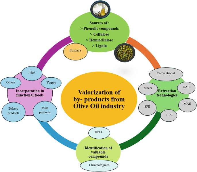 Valorization of Olive Oil Industry Solid Wastes and Effluents into ...