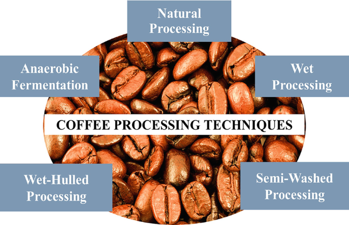 Valorization of Coffee Bean Processing Wastes and Grounds for Effective ...