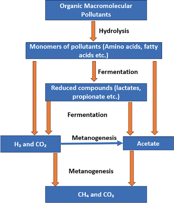 Catalytic Degradation of Organic Pollutants Using Functionalized ...