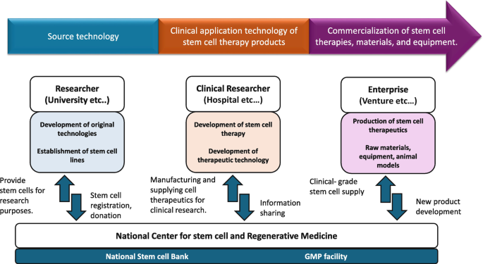 Current Status and Future Prospects for Cell Therapy Manufacturing at ...
