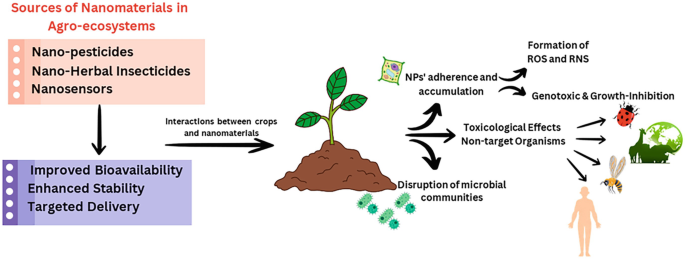 Toxicological Implications Associated with Nanomaterials in Agro ...