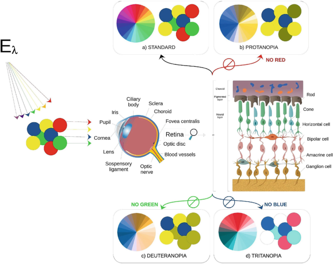 The cblindplotR Package: Building New Bridges to Visually Inclusive ...