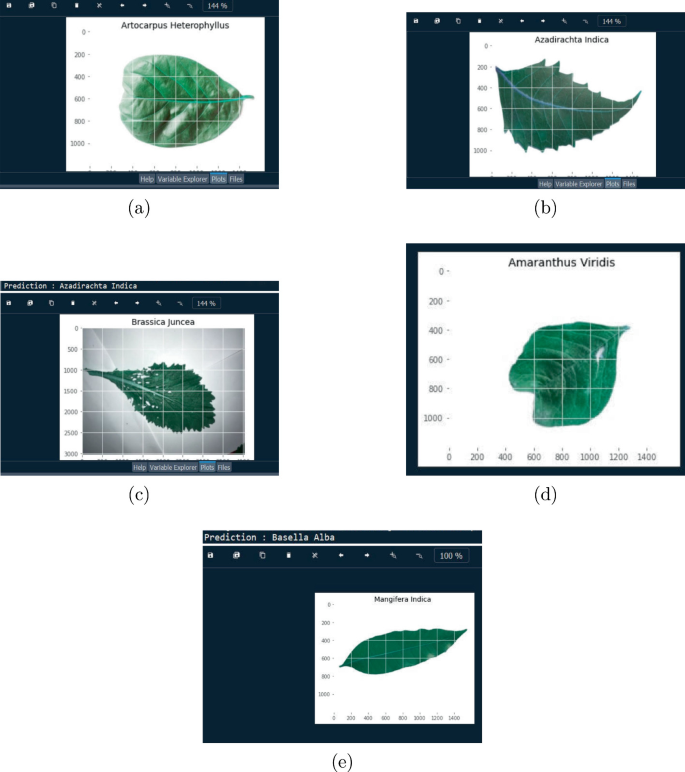 EfficientNet for Enhanced Detection of Medicinal Plants: A Deep ...