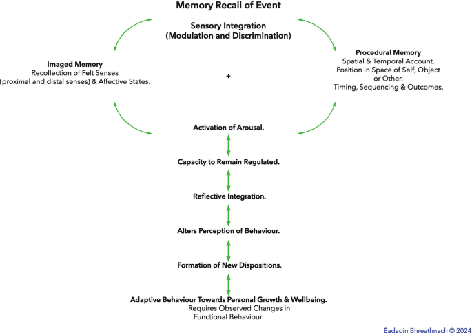 The Meaning of the Child in Sensory Attachment Intervention | Springer ...