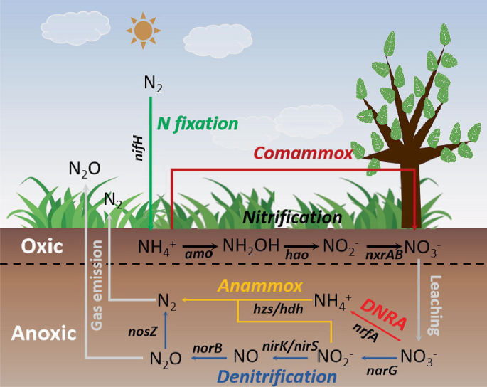Quantifying the Impact of Climate Change on Soil Microbial Processes: A ...