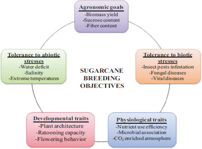 Diagram of advanced urban transit infrastructure