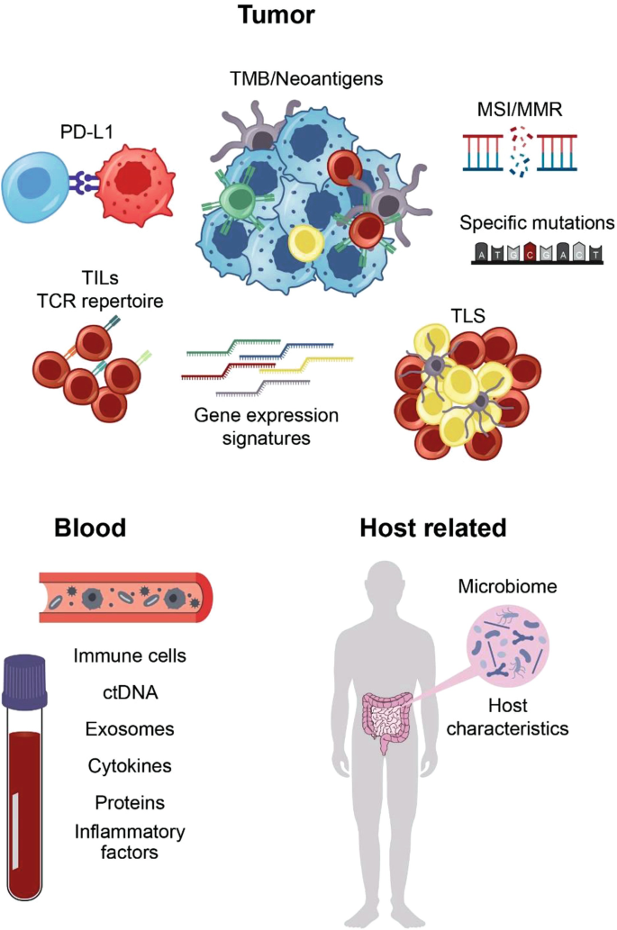 Implications of Tumor Immune Microenvironment and Molecular Markers for ...