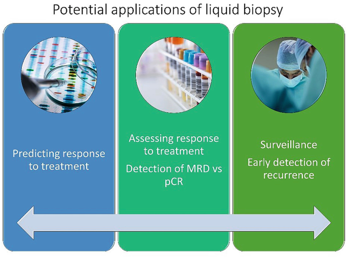 The Role of Liquid Biopsies in Cancer Diagnosis and Prognostics(02)
