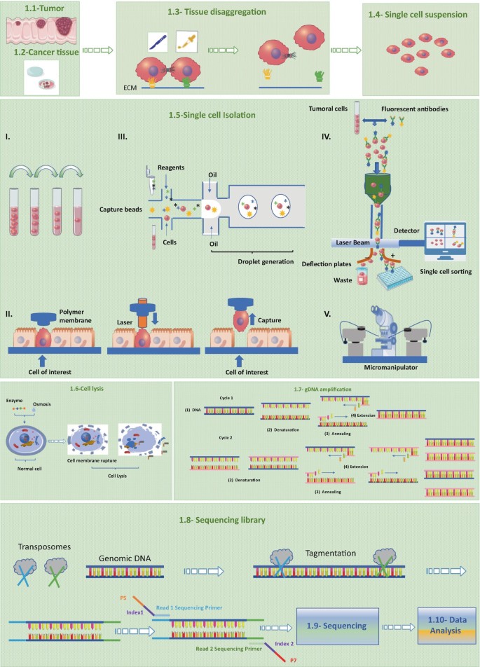 Single-Cell Sequencing in Cancer Research: Challenges and Opportunities ...