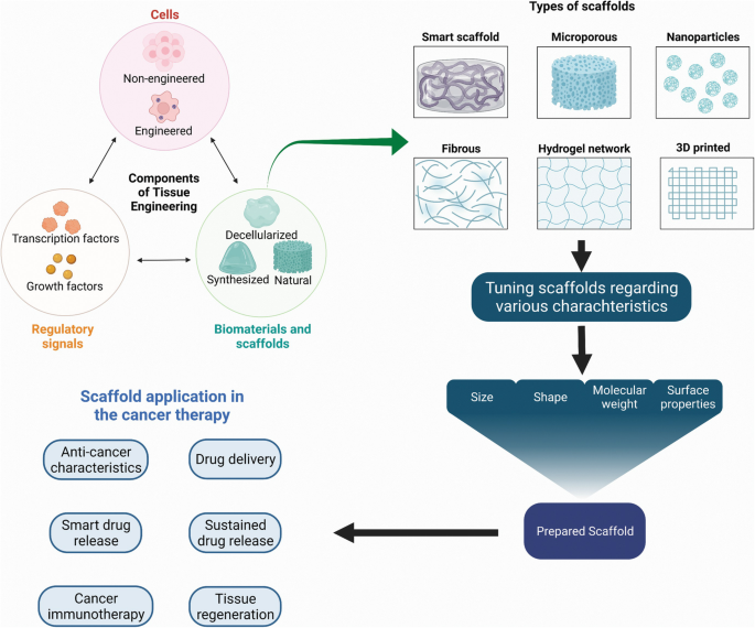 Tissue Engineering and Regenerative Medicine in Cancer Therapy ...