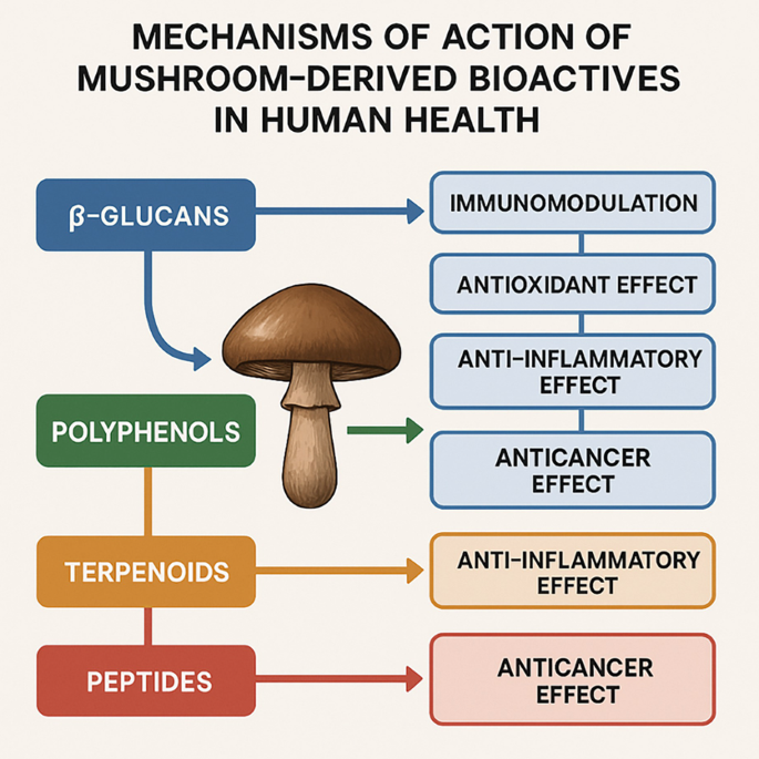 glutathione injection cost india 2025 Glutathione Injection: Benefits, Safety, & What To Expect
