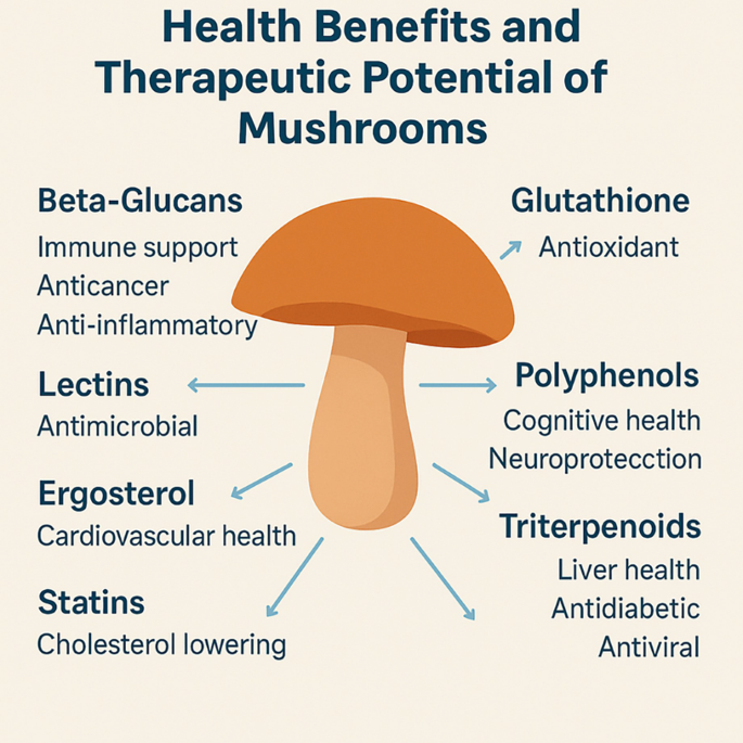 Mushroom in Personalized Nutrition and Functional Food Development