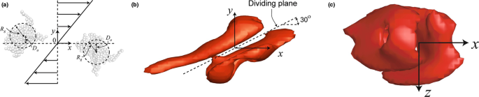 Vortex Rings | SpringerLink