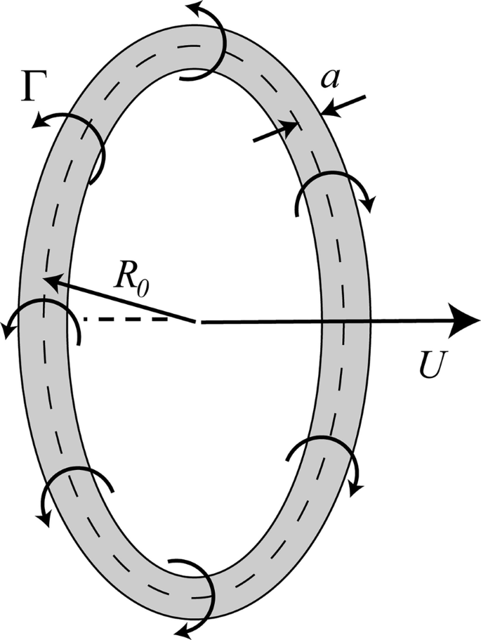 Vortex Rings | SpringerLink