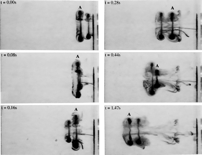 Vortex Rings | SpringerLink