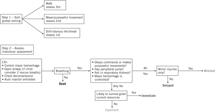 Disasters and Mass Casualty Incidents | Springer Nature Link (formerly ...