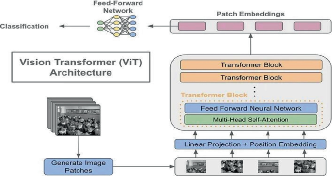 Skin Disease Classification Using Vision Transformer | Springer Nature Link