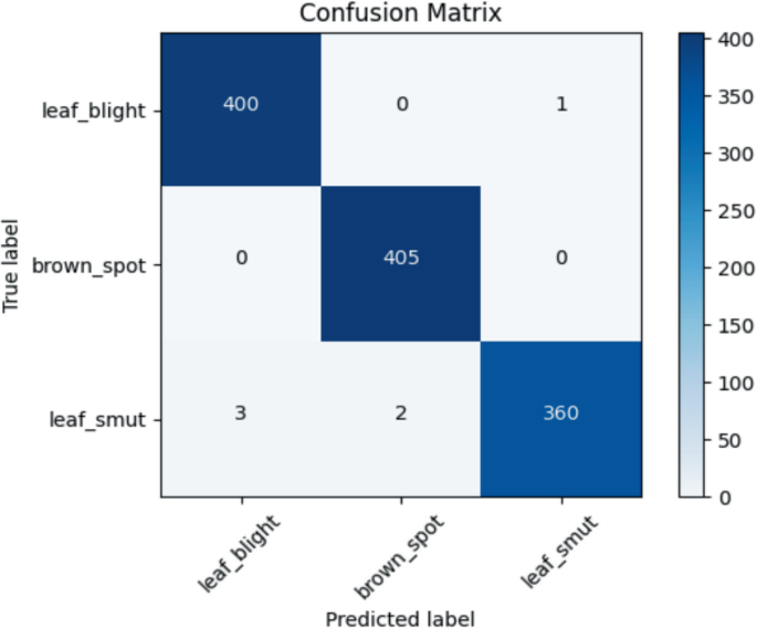RiLeDDS: An Effective Deep Learning-Based System for Rice Leaf Disease ...